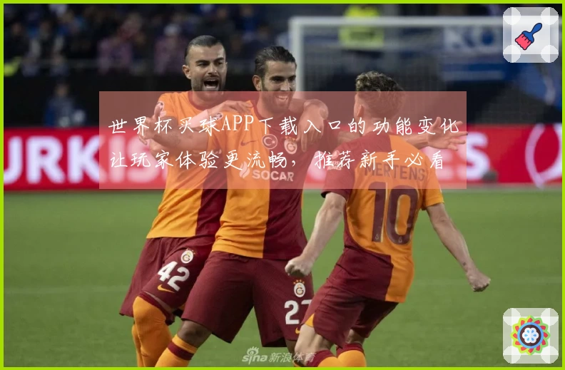 世界杯买球APP下载入口的功能变化让玩家体验更流畅，推荐新手必看指南