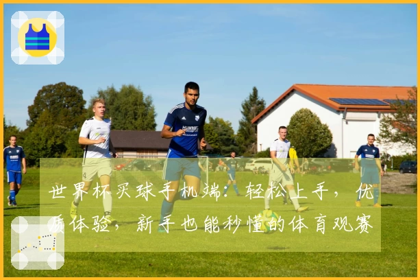 世界杯买球手机端：轻松上手，优质体验，新手也能秒懂的体育观赛指南