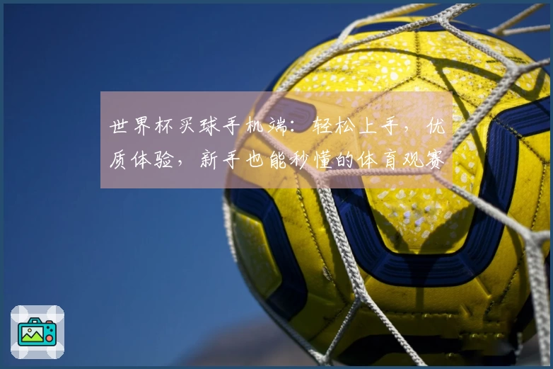 世界杯买球手机端：轻松上手，优质体验，新手也能秒懂的体育观赛指南